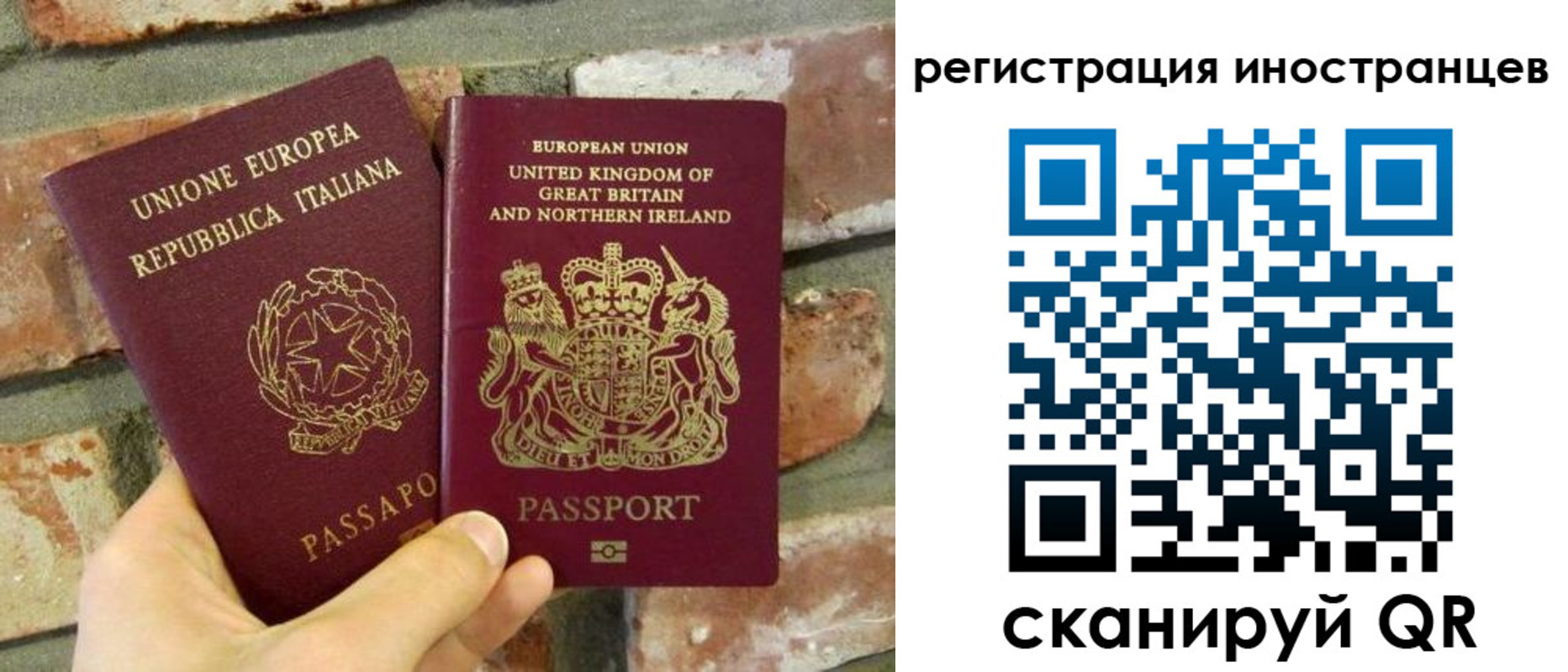 временная регистрация для школы в Жуковском